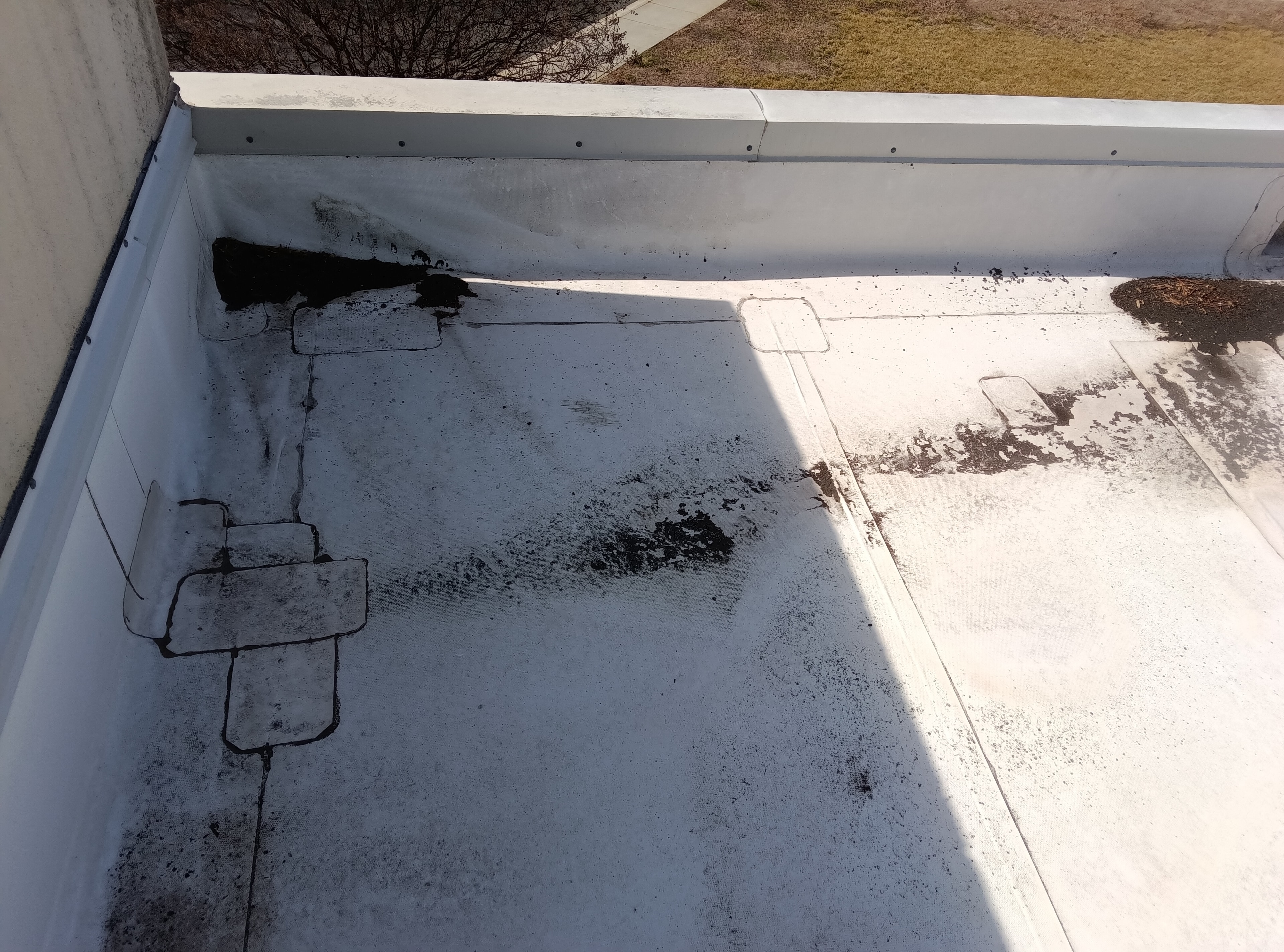 Fort Mill commercial roof before coating — octagonal skylight inspection